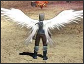 Cánh Thiên Đàng- Heaven Wings - Dark Wizard - Mu Online